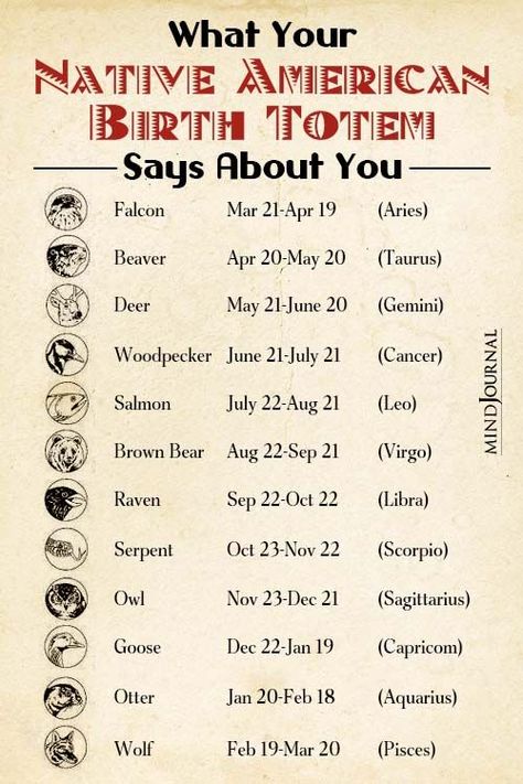 Check out your native American totem and what secrets it reveals about your personality! #birthtotem #birthtotem #nativeamericanastrology #zodiacpersonallity #totemanimal #totemsymbol Native American Star Signs, Native American Birth Signs, Native American Birth Totem, Native American Totem Animals, Native American Beliefs Spirituality, Native American Gods And Goddesses, Native American Way Of Life, Native American Stuff, Navajo Words And Meanings