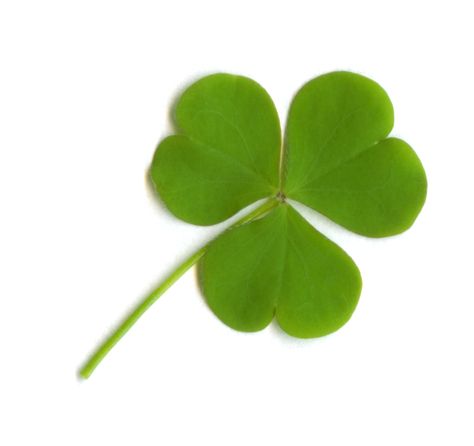 Why do we put up pictures of three-leaved clovers, or small red-haired men in celebration of Saint Patrick's Day?  Find out why in this guide to the folklore, traditions, and symbolism of Saint Paddy's Day. Henn Kim, Bible Object Lessons, Abraham Hicks Videos, Esther Hicks, Object Lessons, Paddys Day, Four Leaves, Happy St Patricks Day, Luck Of The Irish