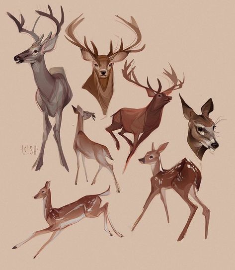 Expedition Art on Instagram: “A male deer is called a buck but some larger males are referred to as stags. A Female deer is called a doe or hind. A young deer is called…” Fawn Character Design, Deer Sketch, Deer Cartoon, Drawing Refrences, Deer Drawing, Deer Illustration, Deer Art, Animal Sketches, الرسومات اللطيفة