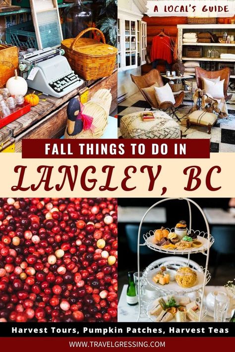 What To Do In Vancouver, Vancouver Things To Do, Travel Vancouver, Vancouver Vacation, Fall Foliage Road Trips, Langley Bc, Autumn Travel, Vancouver Travel, Travel Secrets