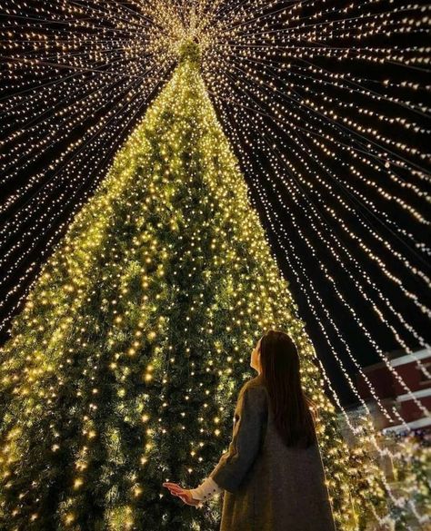 https://www.instagram.com/p/CIgom6qnz8h/?igshid=YmMyMTA2M2Y= Photo Idea With Christmas Tree, Pic With Christmas Tree, Christmas Photos Ideas Instagram, Christmas Lights Poses Photo Ideas, Urban Christmas Photoshoot, Christmas Light Photo Ideas, Winter Photography Poses, Christmas Outdoor Photos, Christmas Photo Ideas Aesthetic