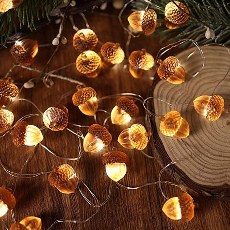 Acorn Lights, Wedding Bedroom, Halloween Christmas Decorations, Battery String Lights, Forest Decor, Indoor String Lights, Autumn Lights, Inspire Me Home Decor, Ice Age