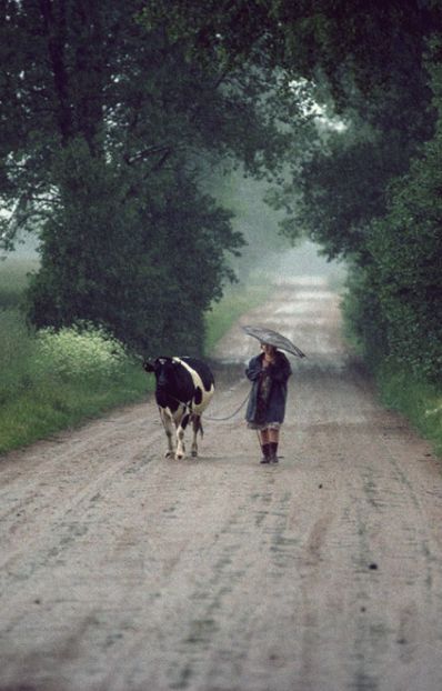 Polish Countryside Aesthetic, Slavic Countryside, Magda Core, Ania Core, Karolina Core, Polish Aesthetic Poland, Poland Countryside, Polish Countryside, Polish Aesthetic