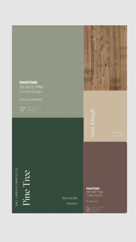 Sage Color Palette, 2024 Living Room, Interior Design Basics, Earth Tone Color Palette, Bedroom Inspirations Minimalist, Earth Tone Color, Living Room Decor Colors, Kitchen Design Plans, Sage Color