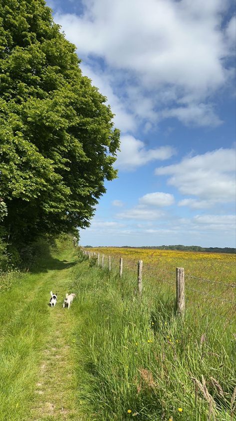 #dogs #field #farm #jackrussel #english #countryside Cottage In The Countryside, Old Countryside Aesthetic, Life In Countryside, English Countryside Farm, English Countryside House Aesthetic, English Farm Aesthetic, English Countryside Spring, Country Farm Life Aesthetic, English Countryside Life