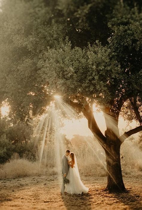 Wedding Landscape Photography Photo Ideas, Photography Ideas For Weddings, Wedding Foto Ideas Creative, Outdoor Wedding Pictures Ideas, Woods Elopement Photo Ideas, Rustic Wedding Portraits, Wedding Pictures In A Field, Woods Wedding Photography, Wedding Photo Ideas Woods