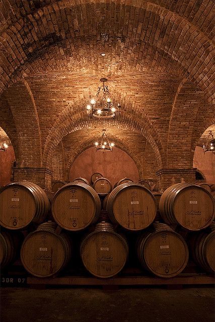 Wine Vault, Napa Valley Wineries, Wine Cave, Barrel Room, Wine Vineyards, Rustic Restaurant, Outdoor Restaurant, Small Backyard Pools, Brick And Stone