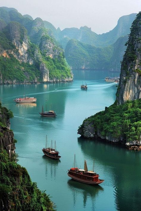 Vietnam Travel Tips and Planning | 🚤 Mystical Seascape: Ha Long Bay, Vietnam's Limestone Marvel 🇻🇳 | Facebook Vietnam Vacation, Halong Bay Vietnam, Travel Vietnam, Vietnam Travel Guide, Vietnam Tours, Ha Long Bay, Overseas Travel, Ha Long, Halong Bay