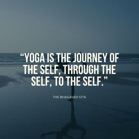 a collection of quotes about yoga and yoga sayings Quotes On Yoga, Yoga Day Quotes, Practice Quotes, Yoga Quotes Motivational, Yoga Words, Yoga Poses Photography, What Is Yoga, Yoga Inspiration Quotes, Yoga Illustration