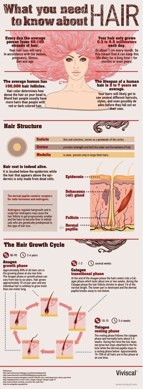 OK, not really at all, but learn some neat stuff. The Human Centipede, Cabello Afro Natural, Hair Science, Hair Facts, Hair School, Types Of Hair, Hair Help, Hair Follicle, Best Hair