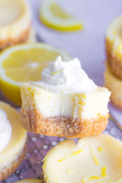 These Mini Lemon Cheesecakes are made with a buttery shortbread cookie crust and a smooth and creamy refreshing lemon cheesecake filling. Made in less than 30 minutes and makes the perfect dessert for any occasion. Lemon Cheesecake Filling, Lime Shrimp Tacos, Lemon Cheesecakes, Tequila Lime Shrimp, Mini Lemon Cheesecakes, Mini Oreo Cheesecake, Shortbread Cookie Crust, Mini Cheesecake Bites, Buttery Shortbread Cookies