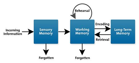 Information Processing Model (how we learn) - Richard Atkinson and Richard Shiffrin's cognitive load theory, 1968. Foreign Language Teaching, Human Memory, Mindset Growth, Learning Skills, Cognitive Science, Working Memory, What I Have Learned, Information Processing, Teaching And Learning