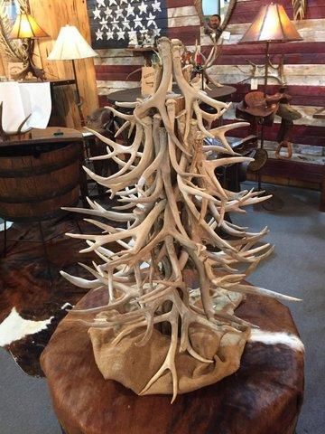 Deer Antler Ideas, Shell Lamps, Antler Christmas Tree, Diy Antler, Antler Tree, Antler Display, Antler Lighting, Old Christmas Tree, Antler Projects