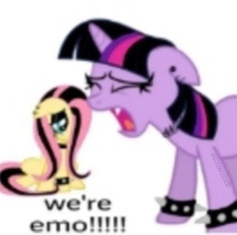 Emo Fluttershy, Hippie Pfp, Fluttershy Pfp, Whimsical Images, Flutter Shy, Mlp Funny, Mlp Memes, Pony Pictures, Midlife Crisis