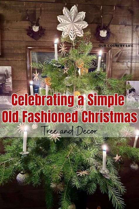 Old Style Christmas Decorations, Vintage Christmas Traditions, Christmas Decor Old Fashioned, Old Fashioned Christmas Crafts, Old Fashion Christmas Tree Ideas, Old Fashioned Christmas Tree Decorations, Old Fashion Christmas Decor, Old Time Christmas Decorations, Old Fashion Christmas Decorating Ideas