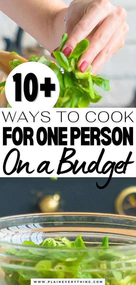 How to Cook For One Person On A Budget Freezer Meals Single Person, Cooking For One On A Budget, Cooking Healthy For One Person, Healthy Eating For One Person, Meal Plan For One Person On A Budget, Meals Everyone Should Know How To Cook, Healthy Meals For 1 Person, Meals For One Person Easy Healthy, Eating Healthy On A Budget For One