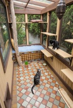 Sunroom as a catio = cat patio | The Casbah Catio Outside Cat Enclosure, Diy Cat Enclosure, Cat Habitat, Cat Cozy, Katt Grejer, Cat Area, Terrasse Design, Cat Patio, Outdoor Cat Enclosure