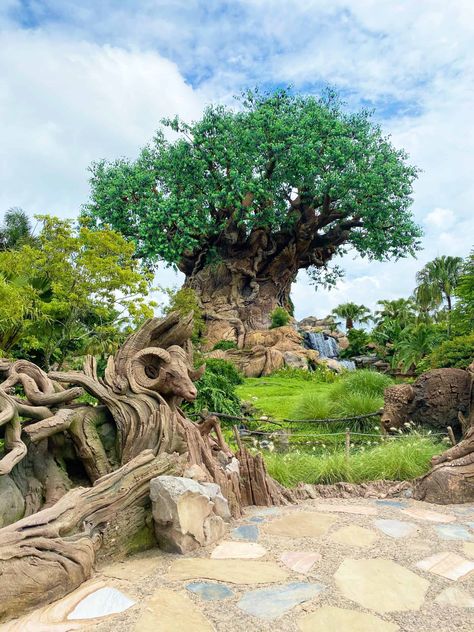 Wdw Animal Kingdom, Animal Kingdom Aesthetic, Magic Kingdom Aesthetic, Animal Kingdom Dining, Disney World Animal Kingdom, Lion King Animals, Disney Animal Kingdom, Plant Kingdom, Disney Vacation Planner