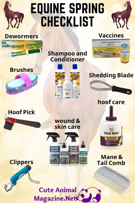 Things You Need For A Horse, First Horse Essentials, New Horse Owner Checklist, First Time Horse Owner Checklist, Things For Horses, First Horse Checklist, Horse Must Haves, Horse Checklist, Horse Essentials