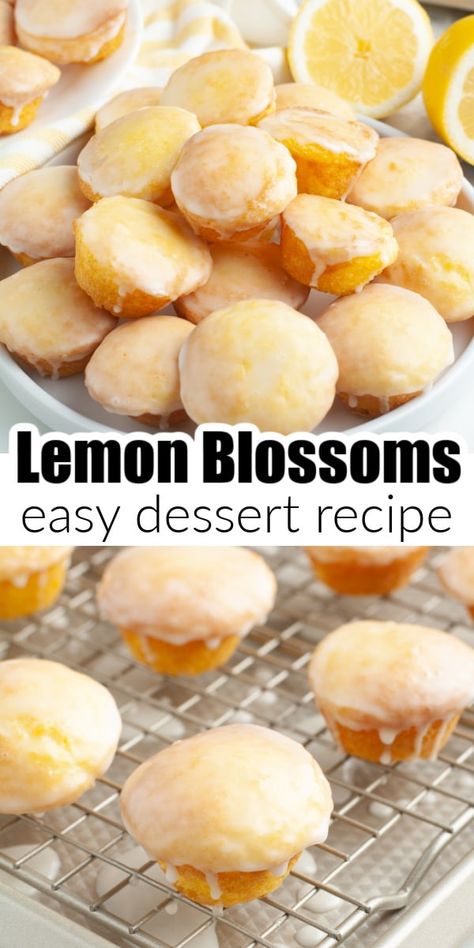 Lemon blossoms or lemon bites are a delicious little treat made with a lemon cake mix and topped with a simple lemon icing. This easy lemon dessert is perfect for parties, holidays, brunches and more. Lemon blossoms are a fun twist on a lemon bundt cake. Dessert With Eggs, Lemon Cake Bites, Lemon Bites, Lemon Desserts Easy, Butter Cake Cookies, Strawberry Cake Mix Cookies, Cheap Desserts, Pineapple Angel Food, Cake Ball Recipes