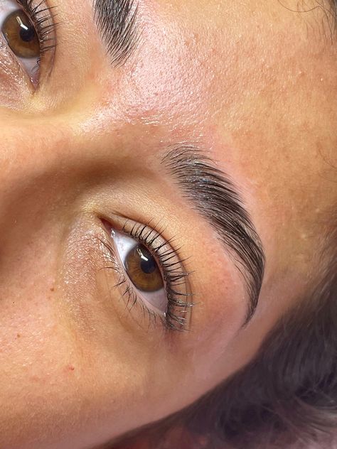 Lash lift and brow combination Laminated Brows And Lash Lift, Natural Lash Aesthetic, Lash And Brow Lamination, Brow And Lash Lamination, Brow Stylist Aesthetic, Brow Wax Aesthetic, Natural Brow Lamination, Brow Lamination Aesthetic, Lash Lift Aesthetic