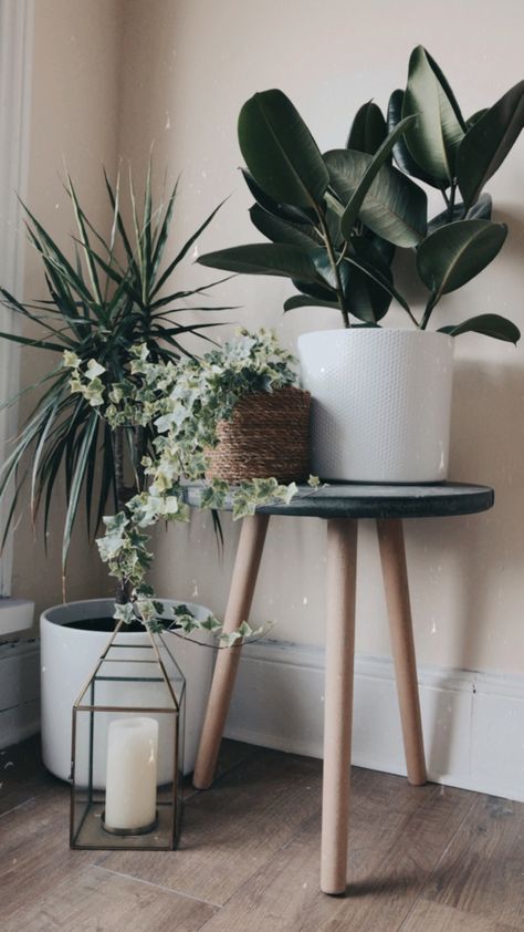 Indoor Plants Decor Living Room Corner, Plant Corner Living Room, Upstairs Decor, Corner Styling, Indoor Plants Decor Living Room, Plants Table, Ikea Interior, Indoor Plants Styling, Plant Corner