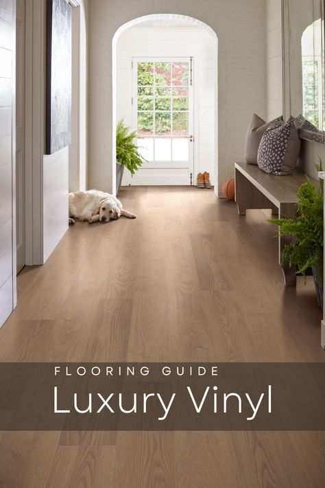 Beautiful luxury vinyl planks, look like real hardwood floors.  Long entryway shown with a bench leads to full glass window door.  A fluffy blond labrador lounges on the floors.  She looks content and satisfied with the luxury vinyl flooring her owner choose.  The floors are soft for her to walk on and are easier for her owner to clean up when she tracks in mud. Wooden Lvt Flooring, Vynil Flooring Ideas Living Room, Luxury Vinyl Plank Flooring With Dark Cabinets, Vinyl Flooring For Living Room, Modern Vinyl Flooring Bathroom, Modern Vinyl Flooring Living Room, High End Vinyl Plank Flooring, Light Brown Vinyl Flooring, Mid Tone Lvp Flooring