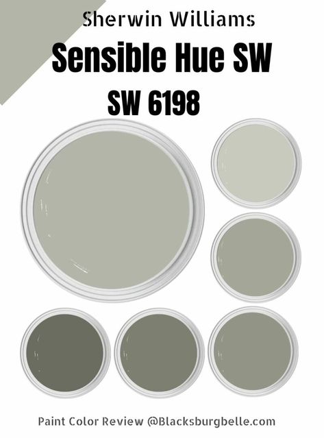 Sherwin Williams Sensible Hue (Palette, Coordinating & Inspirations) Softened Green Sherwin Williams, Oyster Bay Sherwin Williams, Perfect Grey Paint, Sherwin Williams Green, Sherwin Williams Alabaster, Warm Paint Colors, Sherwin Williams Gray, Sherwin Williams Colors, Green Palette