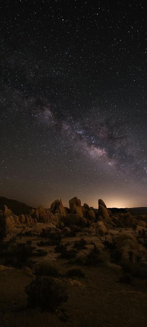 Joshua Tree National Park, California, USA Joshua Tree Night, Joshua Tree Aesthetic, Joshua Tree National Park Photography, Moon Artwork, Joshua Tree Wedding, National Parks Photography, National Park California, Desert Vibes, Joshua Tree National Park