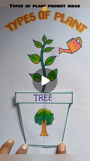 Tree Projects For School, How To Make Art Integrated Project, Evs Project Ideas For Class 2, Types Of Plants Project For Kids, Plant Project Ideas For School, Drawing Ideas For School Projects, Types Of Plants For Kids Chart, Part Of Plants For Kids, How To Draw A Plant