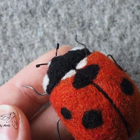 Żenia on Instagram: "Ladybird or Ladybug? Regardless... another beetle <3 Brooch, needle felt from wool, commissioned. #needlefelting #beetle #ladybird" Needle Felt Ladybug, Needle Felted Ladybug, Felt Brooch Diy, Felted Ladybug, Felt Ladybug, Ladybug Felt, Felting Diy, Needle Felting Diy, Felting Ideas