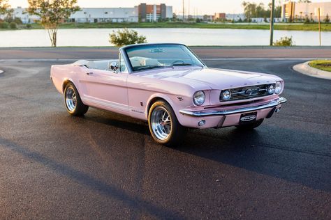 This is a 1966 Mustang GT Convertible in Playmate Pink. It has Ivory leather interior. This car has 17x8 Shelby 10-spoke aluminum wheels. It features a 460hp Ford 5.0L Ti-VCT Coyote DOHC V8 engine and a T56XL 6-speed manual transmission. #mustang #shelby #classicmustang #classicshelby #carinspiration 1963 Mustang, 1960s Mustang, 1964 Mustang, Mustang Cars Convertible, 1970s Mustang, 1966 Mustang, Vintage Convertible Cars, Light Pink Mustang, 1966 Ford Mustang Convertible