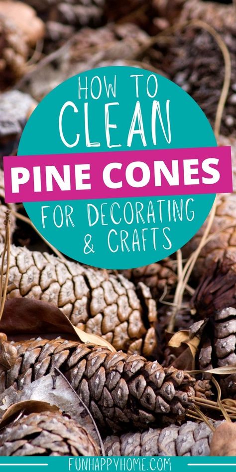 How To Wash Pinecones, Projects With Pinecones, Decoration With Pine Cones, Home Decor With Pine Cones, How To Paint Pine Cones, Pine Cone Display Ideas, Pinecone Preparation, Small Pine Cone Crafts, Long Pinecone Crafts