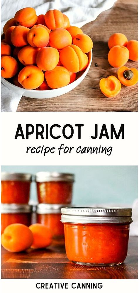 Embrace the art of canning with our apricot jam recipe. This jam, made without pectin, captures the pure, vibrant flavor of apricots. Our canning jam recipe ensures the process of canning fruit recipes becomes a delightful part of your culinary journey. Start preserving apricots and savor the homemade delight of apricot jam any day of the year. Homemade Apricot Jam, Canning Apricots Recipes, Apricot Jam With Pectin, Apricot Jam Recipe With Pectin, How To Make Apricot Jam, Easy Apricot Jam Recipe, Pioneer Food, Apricot Jam Recipe, Canning Fruit Recipes