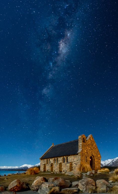 Te Anau New Zealand, Road Trip New Zealand, Park Activities, New Zealand Cities, Famous Trees, Lake Wanaka, New Zealand Landscape, New Zealand South Island, Milford Sound