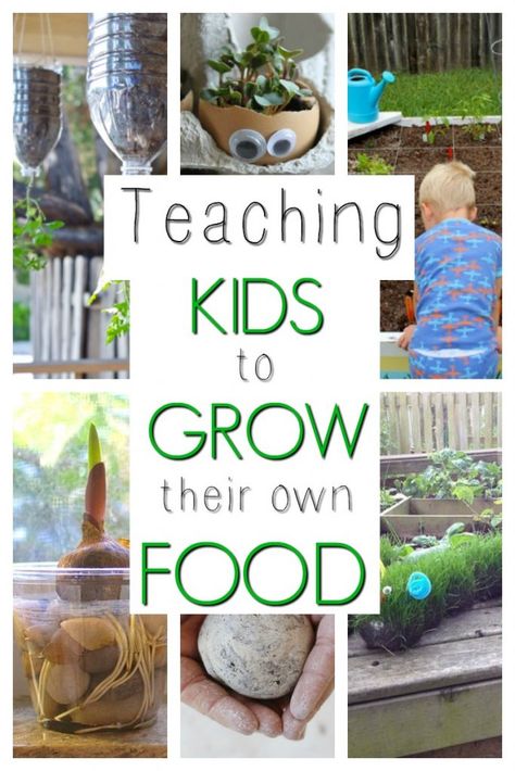 A collage of sample activities that encourage kids's interests in gardening and growing their own food. Garden Activities, Activities For Preschoolers, Garden Fun, Outdoor Classroom, School Garden, Creative Learning, Kids Learning Activities, Spring Activities, Grow Your Own Food