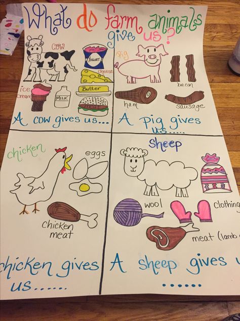 As a part of the NYS kindergarten CKLA Farm unit, I made an anchor that touches upon the four animals mentioned in the unit as well as they foods or things they provide us with. What Do We Get From Farm Animals, Farmer Activities For Kindergarten, Farm For Kindergarten Activities, What Comes From A Farm Preschool, 1st Grade Farm Unit, All About Farm Animals Preschool, Farm Week Kindergarten, Farm Week Preschool Activities Science, Animals On The Farm Activities