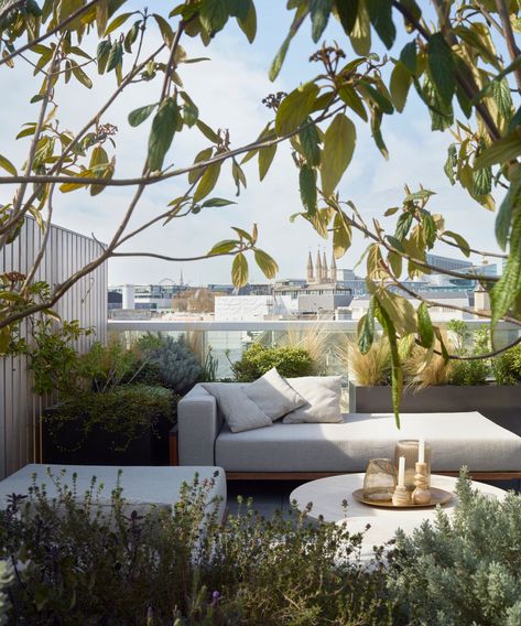 Urban city garden idea with white furniture and plenty of plants Roof Garden Design, Terrace Furniture, Modern Balcony, Small Terrace, Rooftop Terrace Design, Rooftop Design, Balcony Plants, Rooftop Patio, Terrace Design