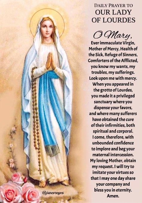 Heavenly Images, Catholic Saints Prayers, Immaculate Mary, Happy Feast Day, Family Blessings, Mary Jesus Mother, Catholic Prayers Daily, Happy Feast, Mary Immaculate