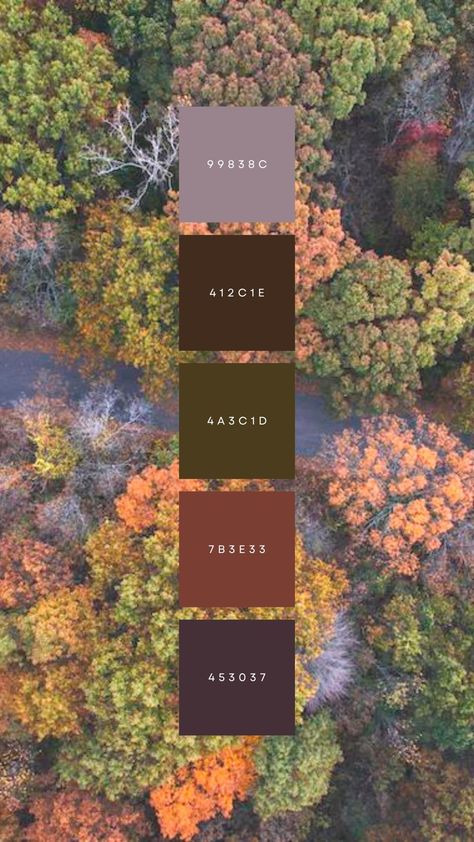 Fall foliage with colors to choose from. Navy Wedding Color Schemes, Fall Wedding Colors October Colour Palettes, Fall Wedding On A Budget, Desert Casita, January Wedding Colors, Plum Wedding Colors, Green Wedding Palette, Green Fall Weddings, Autumn Elements