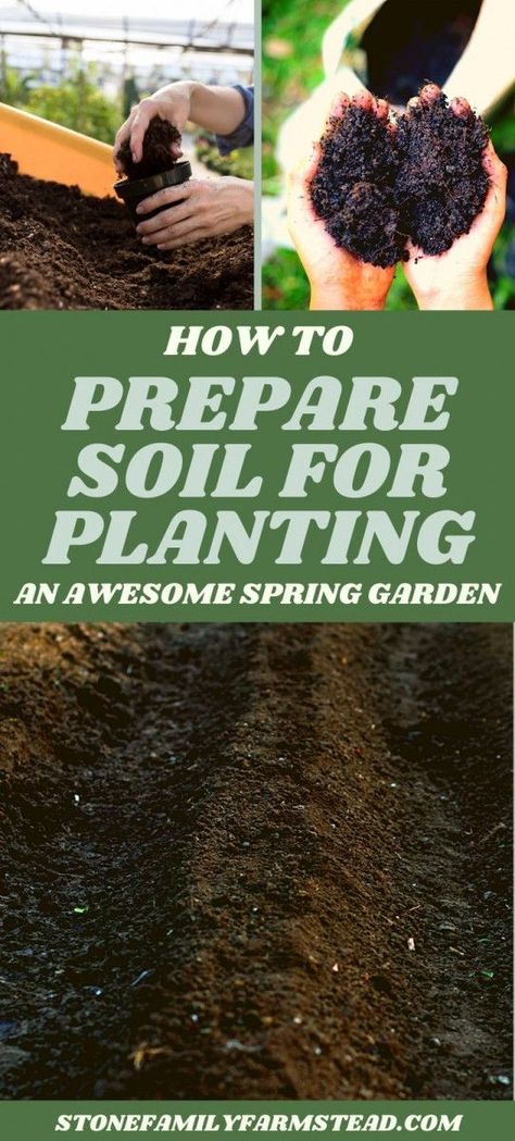 Gardening Beginners, Garden Soil Preparation, Vegetable Garden Soil, Garden Preparation, Vegetable Garden Beds, Garden Prepping, Small Vegetable Gardens, Vegetable Garden Planning, Vegetable Garden For Beginners