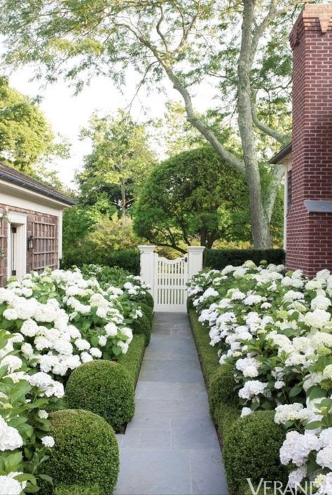 White Hydrangea Garden, Spiral Garden, Drought Tolerant Landscape, Garden Stairs, Hydrangea Garden, Rock Garden Landscaping, White Gardens, House Landscape, Front Yard Landscaping Design