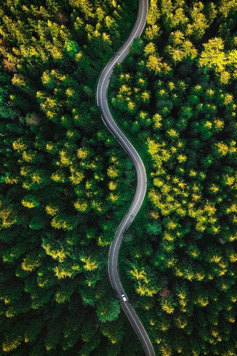 aerial photography drone landscapes Identity Moodboard, Aerial Views Landscape, Perspective Photos, Drone Shots, Aerial Photography Drone, Aerial Photos, Aerial Images, Drone Images, Forest Path