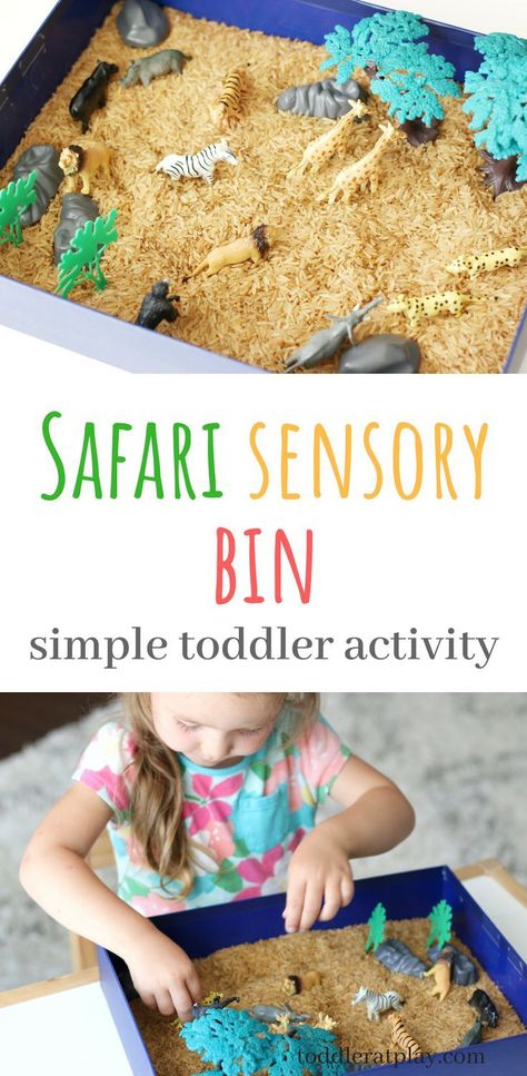 Sensory bins are one of the best ways to execise and improve brain development, motor skills and focus. This safari sensory bin is so easy to set up, low cost and super fun! Safari Sensory Bin, Jungle Activities, Safari Crafts, Safari Activities, Toddler Sensory Bins, Sensory Tubs, Jungle Thema, Easy Toddler Activities, Sensory Activities Toddlers