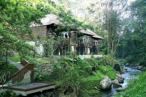 maya ubud river view 3; Bali, Indonesia. Garden Pools, Ubud Resort, Bali Spa, Spa Luxe, River Resort, Landscape Design Drawings, Voyage Bali, Bali Resort, Riverside House