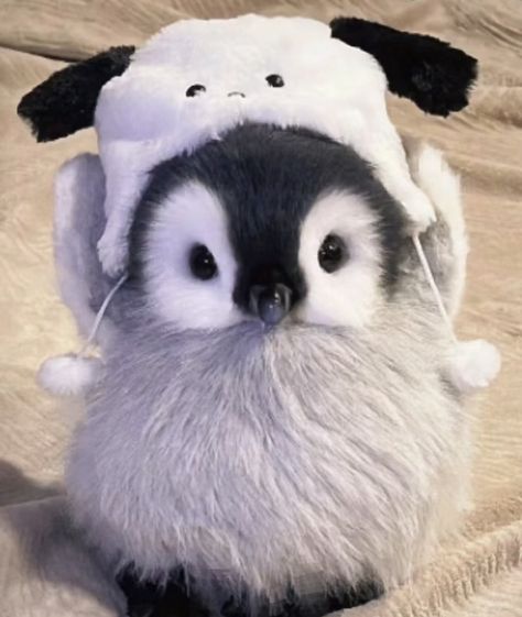 Cute Animals Penguin, Cutest Animal Photos, Cute Pingu, Penguin Pfp, Cute Profile Pics, Cute Plushies, Penguin Baby, Cute Small Animals