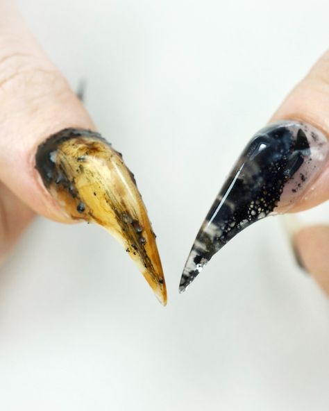 Unveil the extraordinary with our Claws nails design, featuring a fossil bug encapsulated within. A unique and captivating blend of nature and art, perfect for those who dare to be different.💅✨ #claws #pressonclaws #kogtinails #nailtrends #nailsofinstagram #nailfashion #halloween2024 #nails4today -- Don’t miss the promotional event on my website. All the products available on my site donailsart.com RIGHT NOW🍏🎧 link is in my bio! Moss Nails, Claw Nails Designs, Raptor Claw, Claws Nails, Claw Nails, Dare To Be Different, Inspo Board, Promotional Events, Nails Ideas