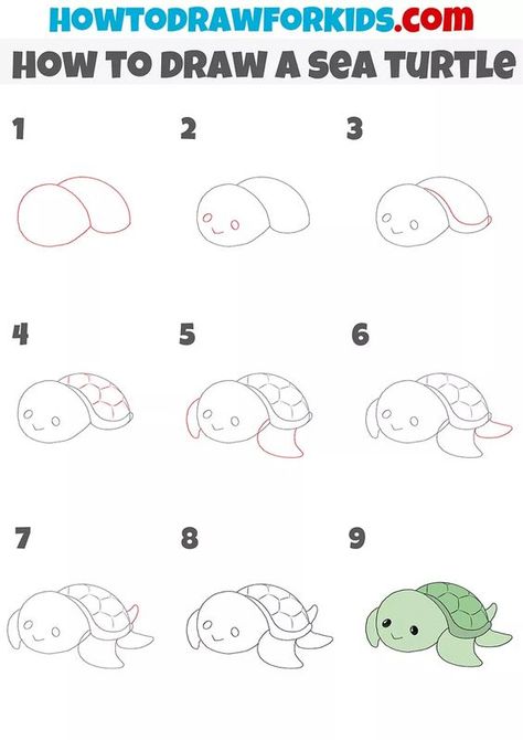 How to Draw a Sea Turtle Drawings step by step for kids #drawingsstepbystepforkids Drawing ideas #drawingideas Drawing ideas for kids #drawingideasforkids 2.579 Draw Turtle, Draw A Sea Turtle, Cartoon Sea Turtle, Draw A Turtle, Draw Sea Animals, Sea Images, Sea Turtle Drawing, Sloth Drawing, Sea Creatures Drawing