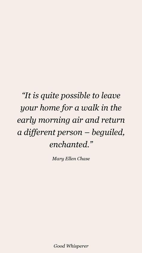 Morning Walk Quotes, Chase Quotes, Early Morning Quotes, Chasing Quotes, Walking Quotes, Early Morning Runs, Different Person, Morning Walks, Morning Walk