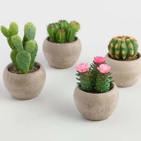 Fake Cactus, Kaktus Dan Sukulen, Artificial Cactus, Plant Care Guide, Faux Cactus, Pots Set, Making Plant Pots, Indoor Cactus, Plant Care Tips